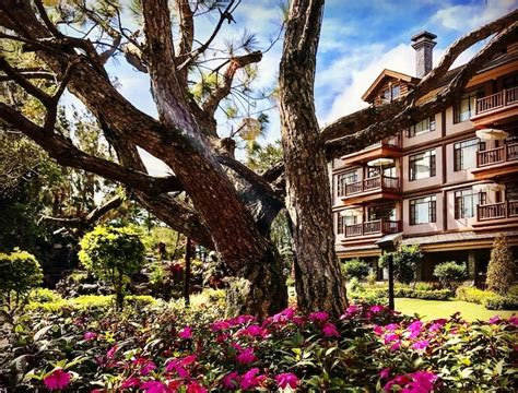 novo baguio photos|12 Things to Do in Baguio — the Summer Capital of the Philippines.